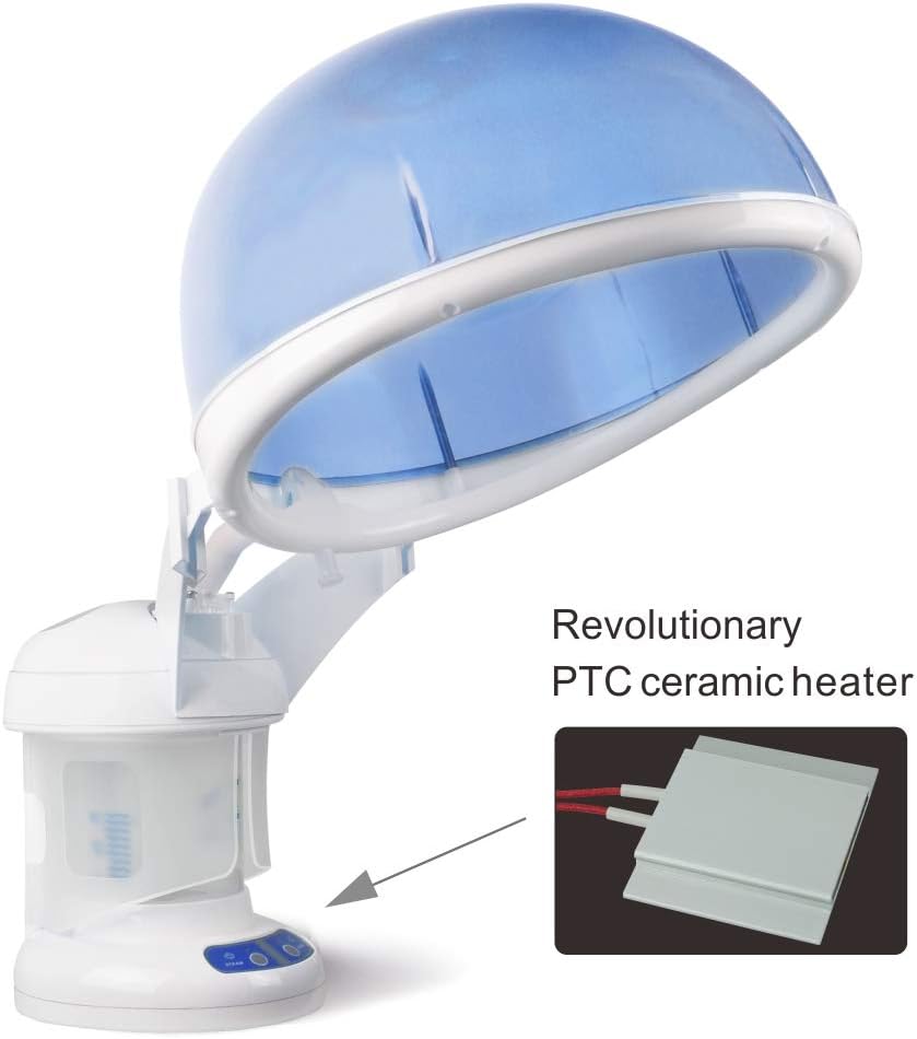 Kingsteam 2 in 1 Hair and Facial Steamer