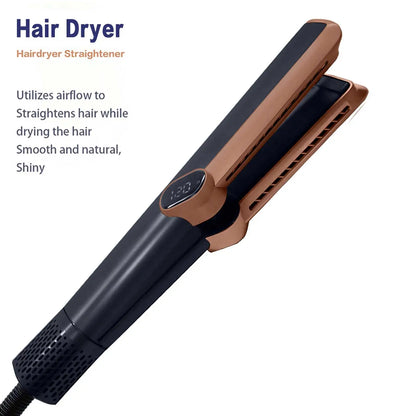 2 in 1 Professional Hair Straightener and Dryer